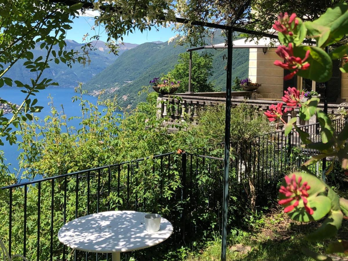 B&B Villa Le Ortensie Faggeto Lario Εξωτερικό φωτογραφία